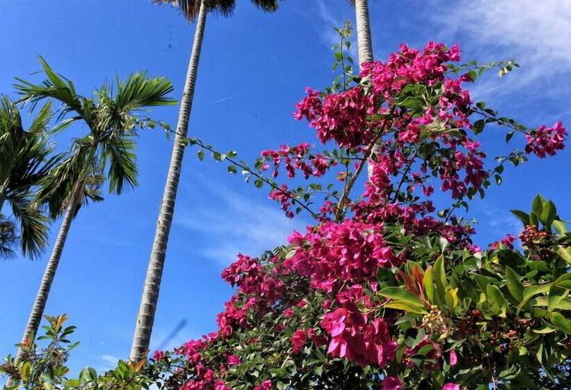 پانسیون Maple Feeling Vacation Farm