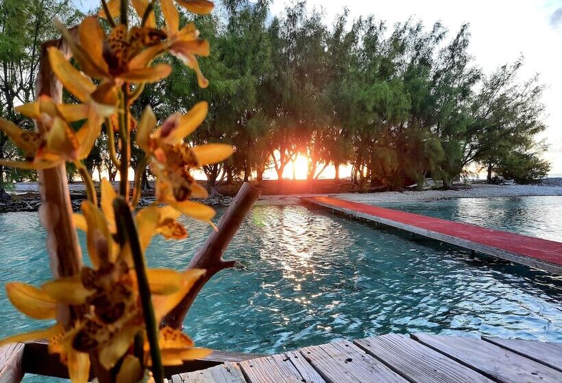 Pension Motu Aito Paradise