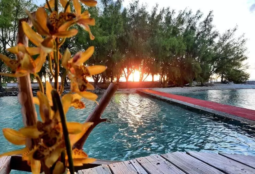 Pension Motu Aito Paradise