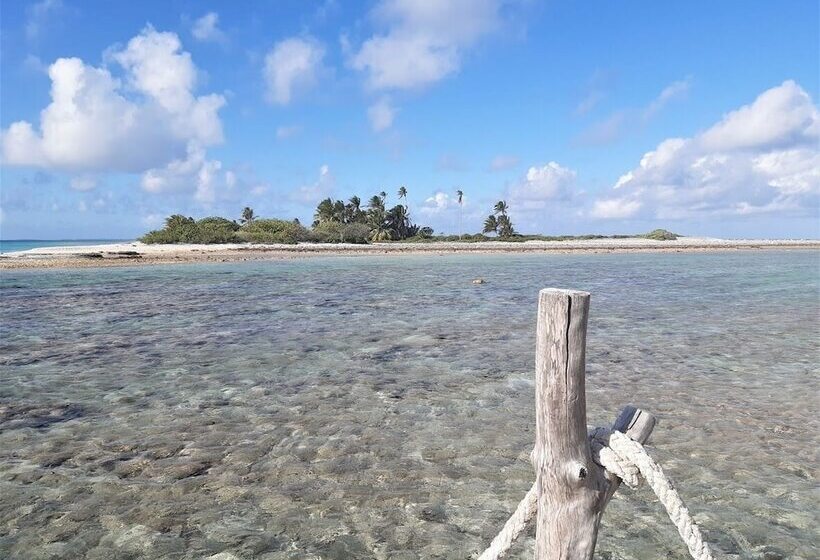 Pension Motu Aito Paradise