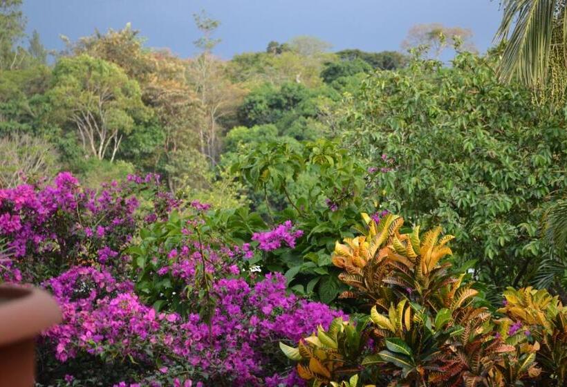 تختخواب و صبحانه Eden Atenas