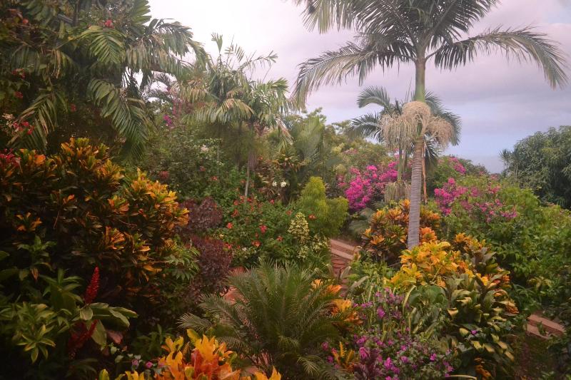 تختخواب و صبحانه Eden Atenas