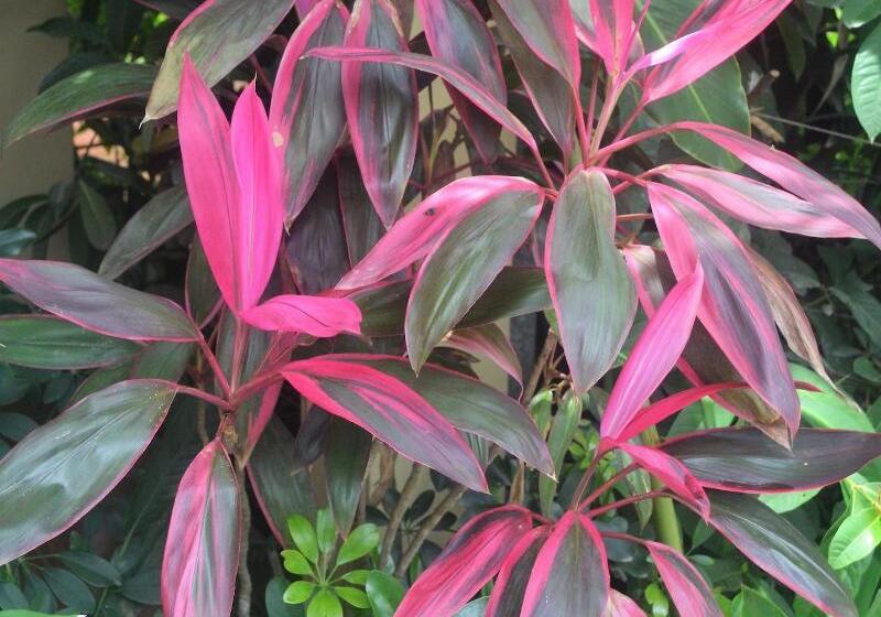 تختخواب و صبحانه Eden Atenas