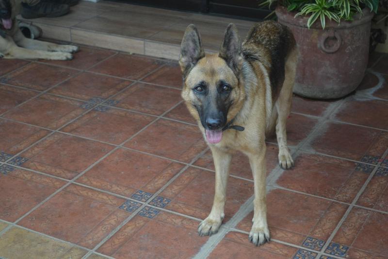 تختخواب و صبحانه Eden Atenas