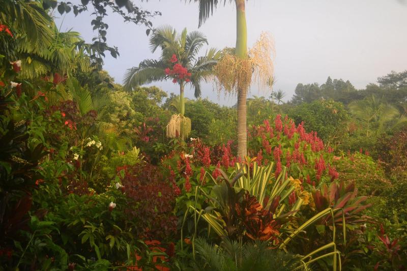 تختخواب و صبحانه Eden Atenas