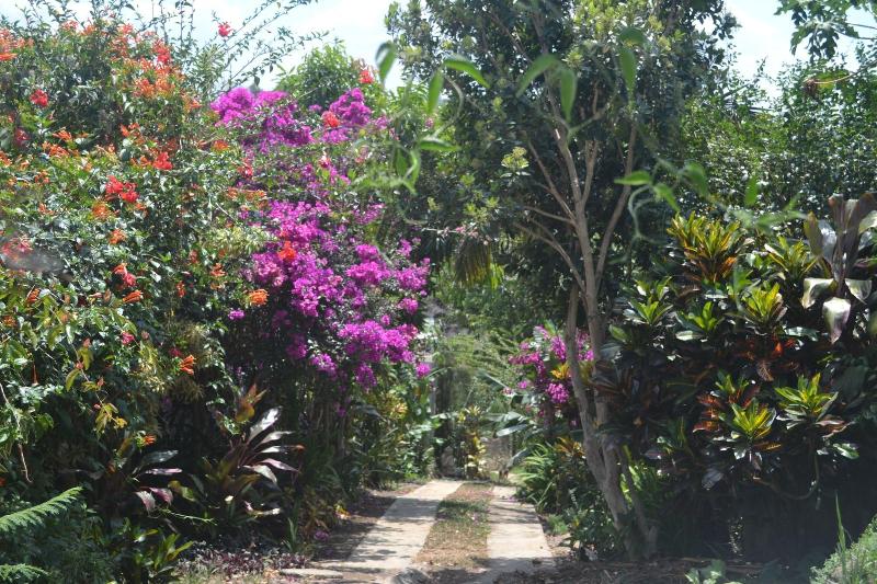 تختخواب و صبحانه Eden Atenas