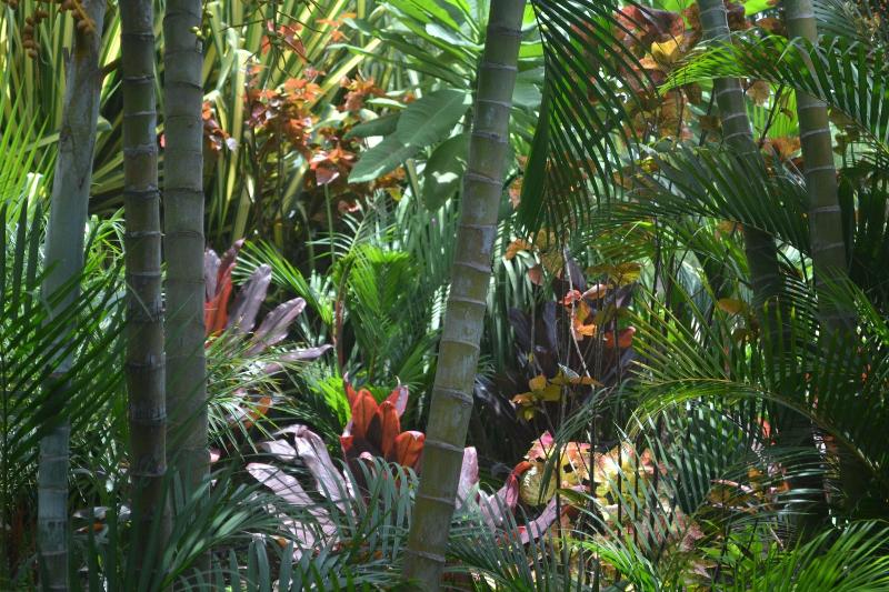 تختخواب و صبحانه Eden Atenas