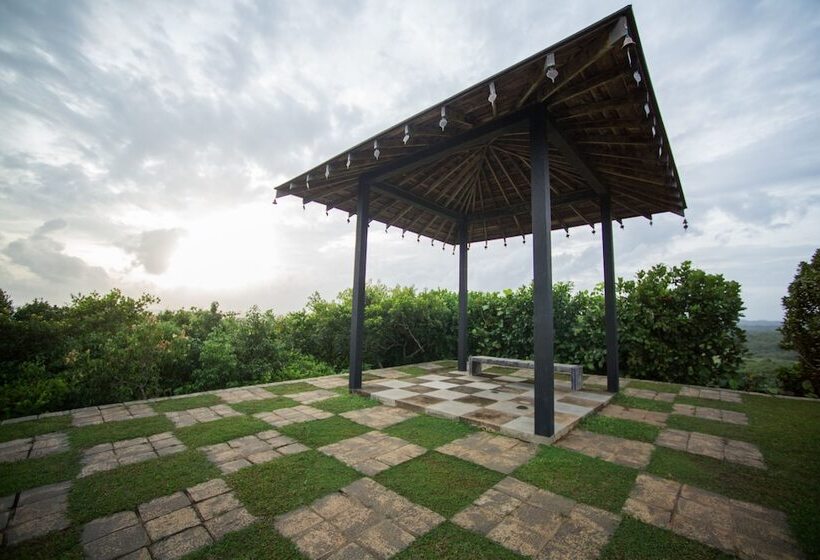 住宿加早餐  Mirissa Hills Resort