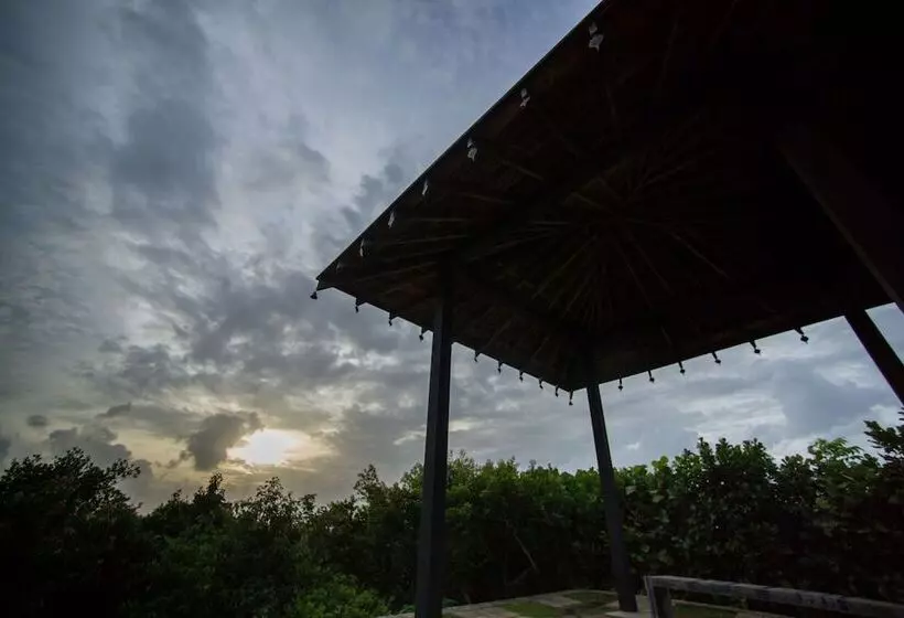 تختخواب و صبحانه Mirissa Hills Resort