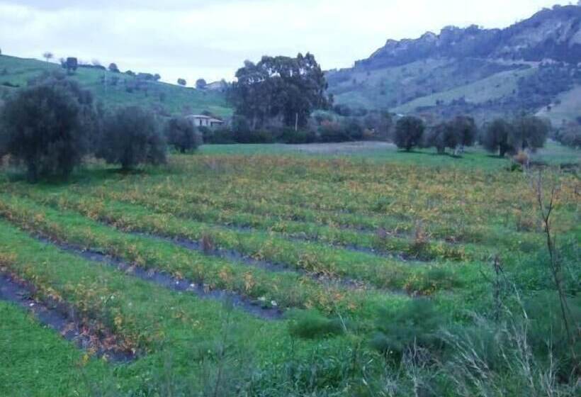 ホテル A Sena Runcatini