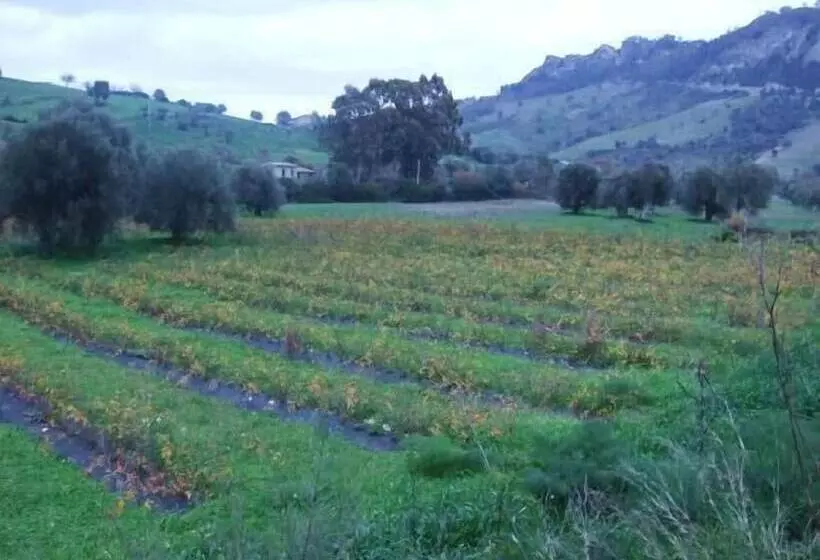 ホテル A Sena Runcatini