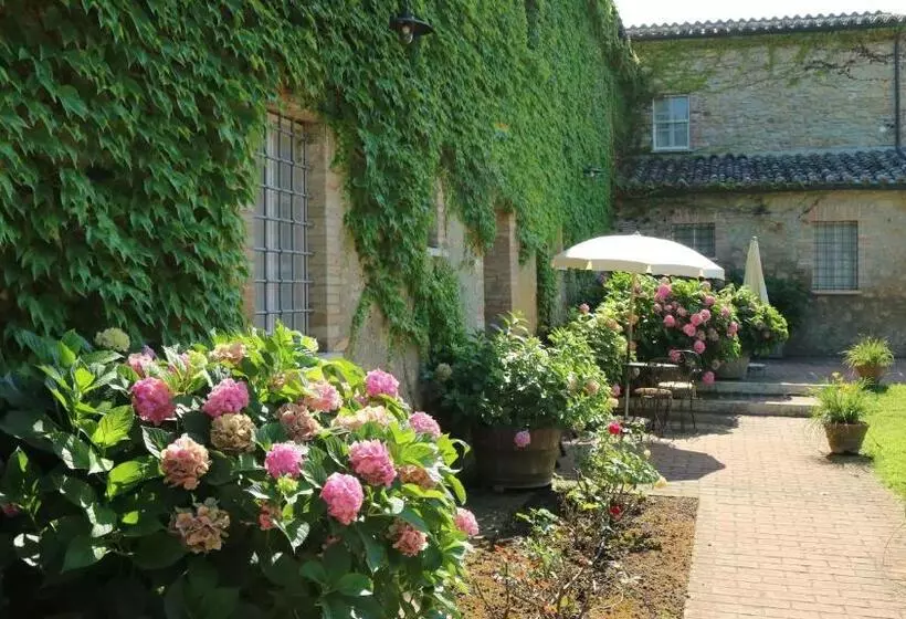 酒店 Agriturismo La Sovana