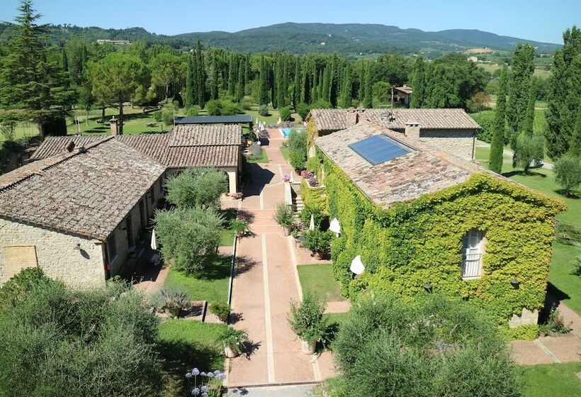 ホテル Agriturismo La Sovana