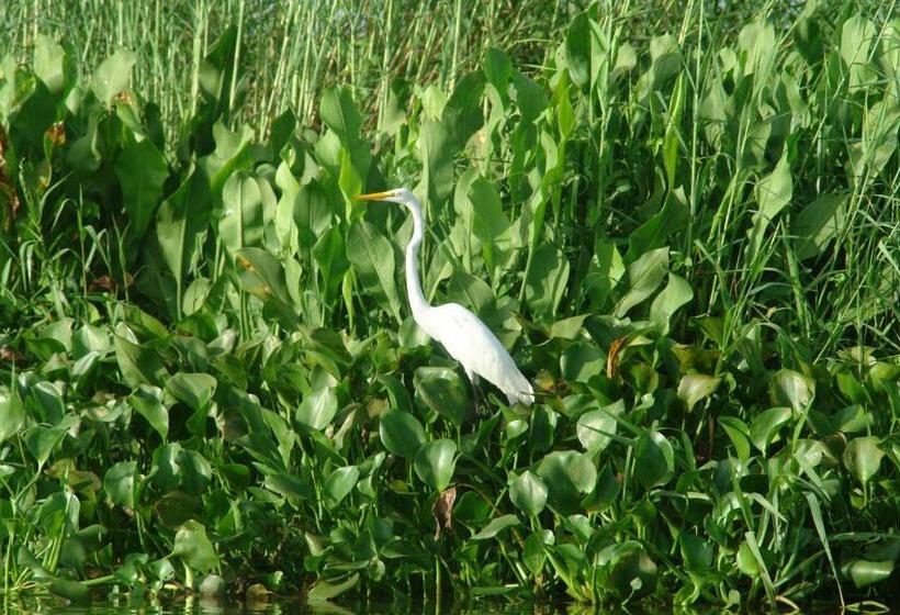 Отель Miraflores