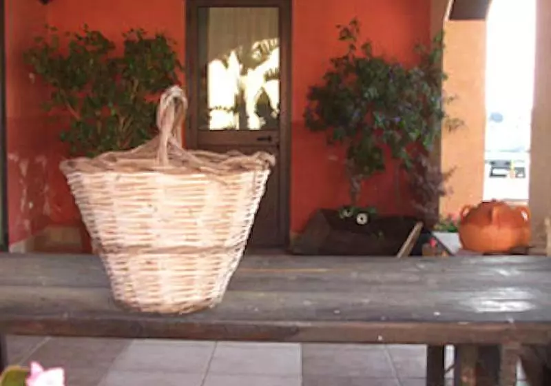 Le Terre Di San Domenico