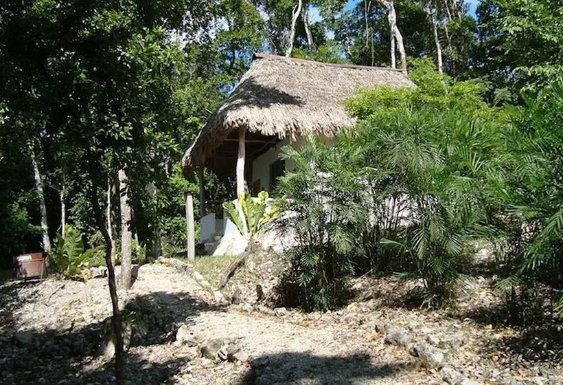 استراحتگاه Maya Zacpetén Jungle Lodge