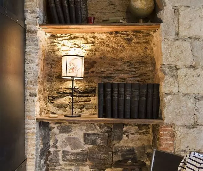 Surprenantes  De La Terre à La Lune