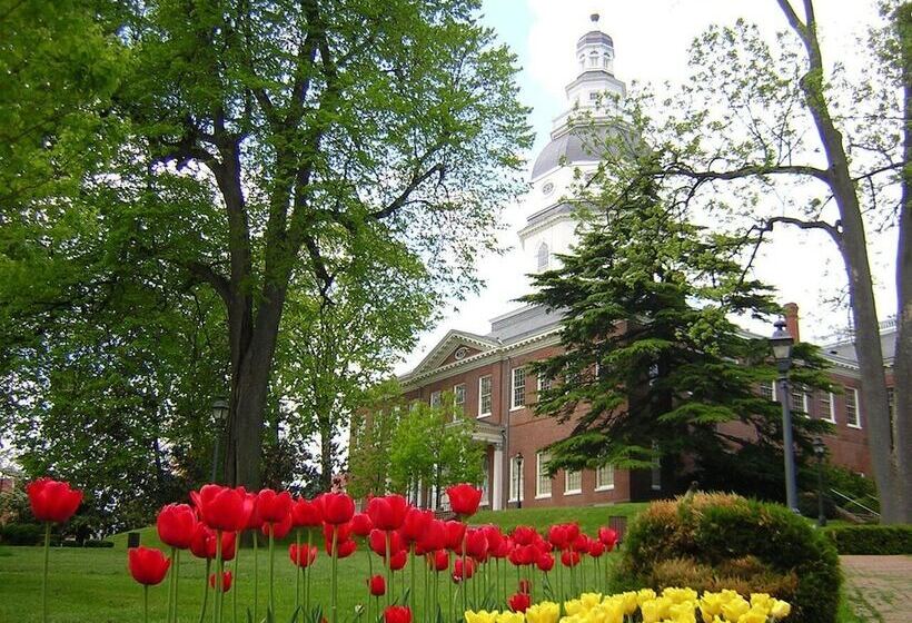 צימר Inn At Horn Point