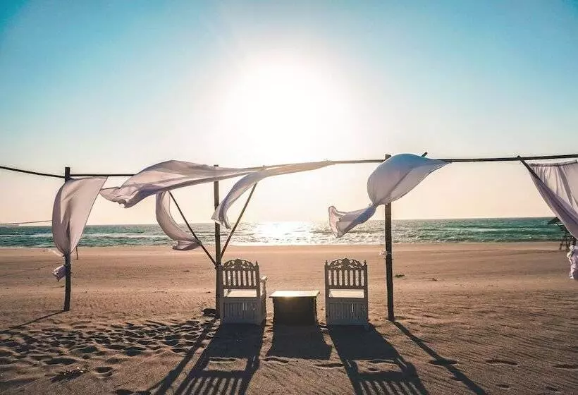 Club Monet Beach Resort By Cocotel