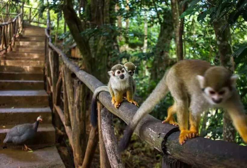 ホテル Escondido Bay Properties By Caribe Stays