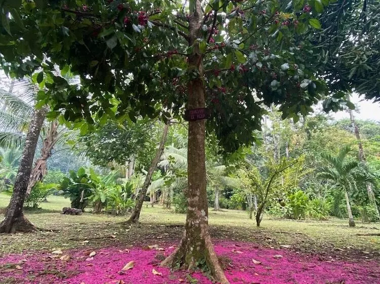 ホテル Finca Vela Lodge