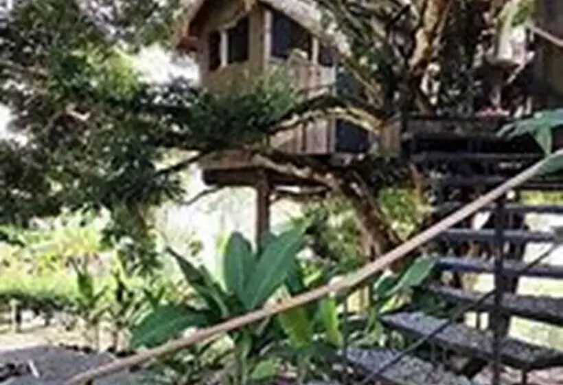ホテル Finca Vela Lodge