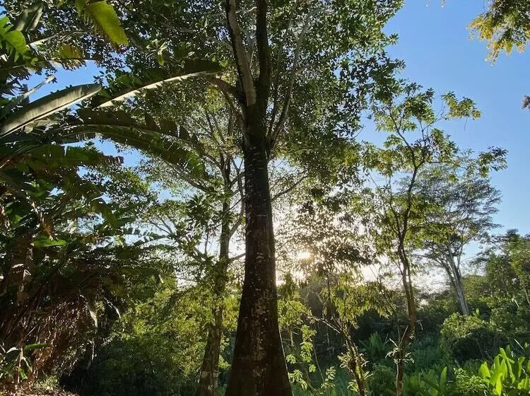 ホテル Finca Vela Lodge