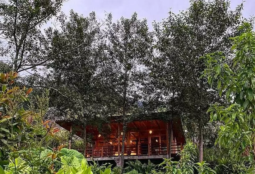 ホテル Goctamarca Lodge