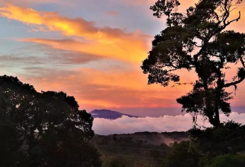 Iyok Ami Hostel Tours