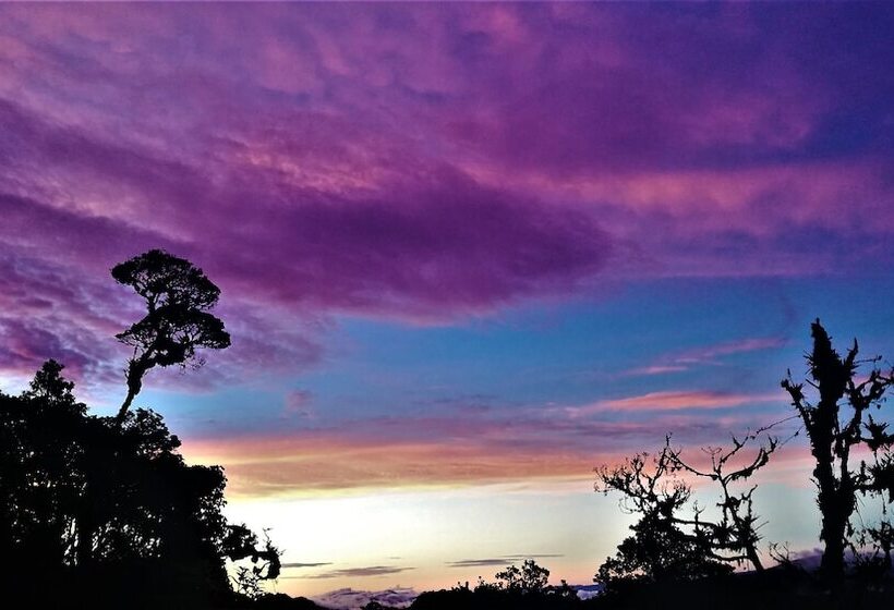 Iyok Ami Hostel Tours