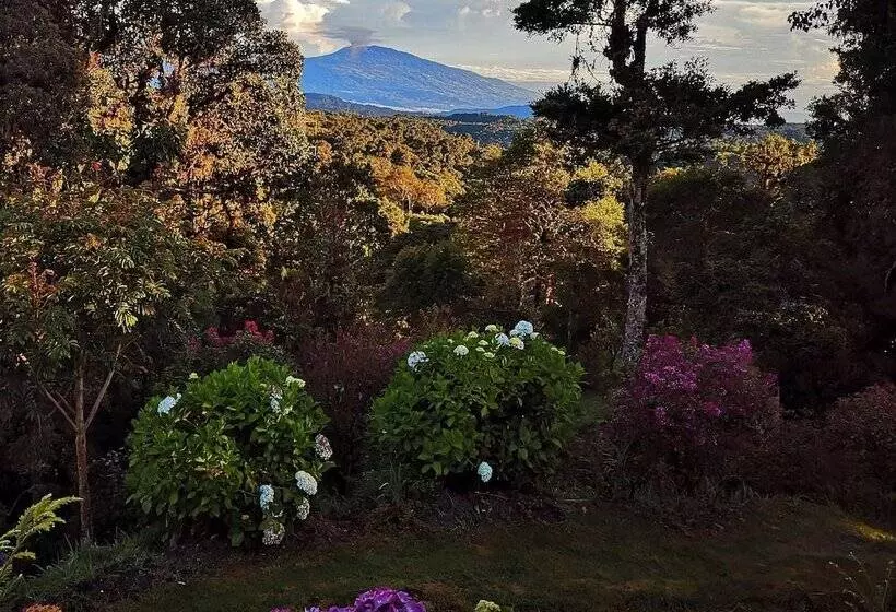 Iyok Ami Hostel Tours