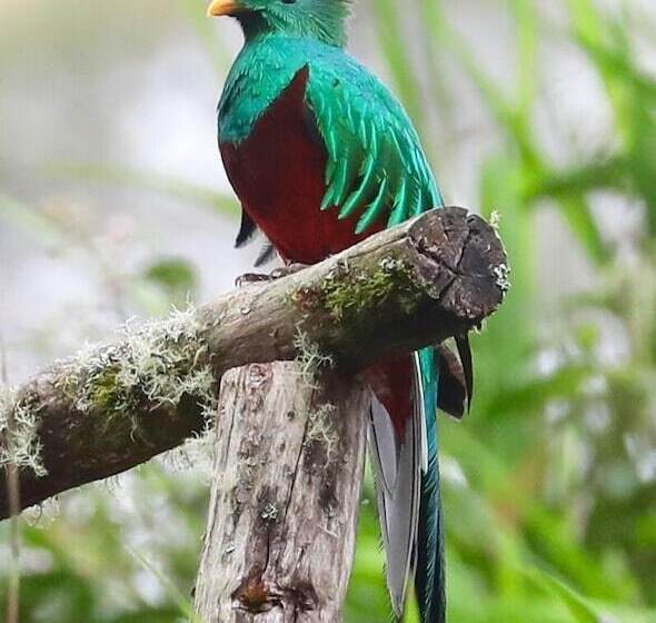 Iyok Ami Hostel Tours