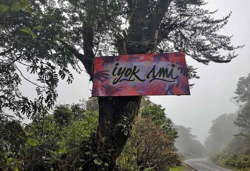 Iyok Ami Hostel Tours