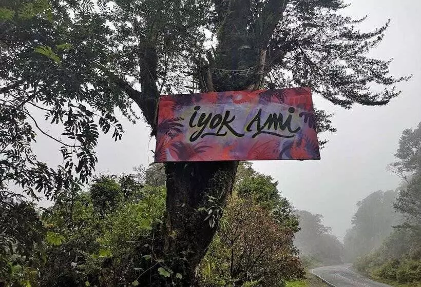 Iyok Ami Hostel Tours