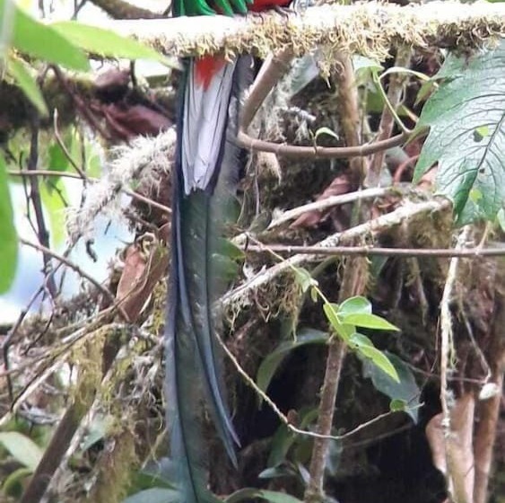 Iyok Ami Hostel Tours