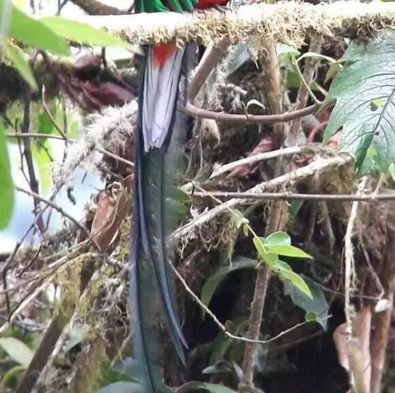 Iyok Ami Hostel Tours