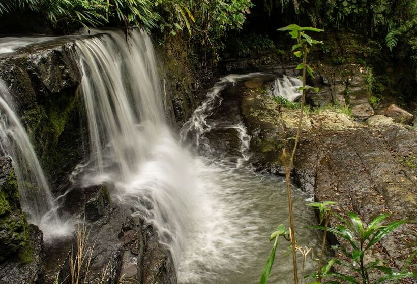 膳宿费 Casa El Cedro