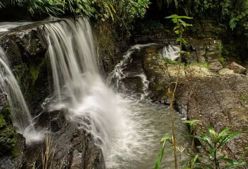 Majatalo Casa El Cedro
