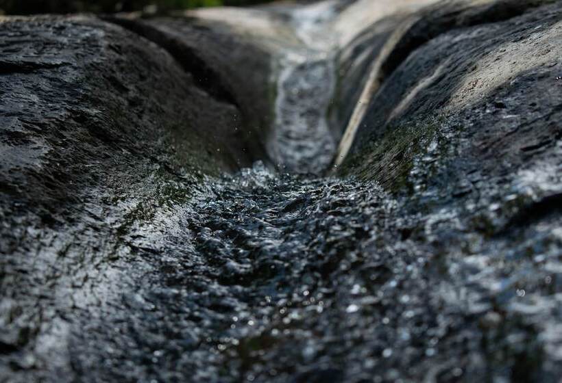 膳宿费 Casa El Cedro