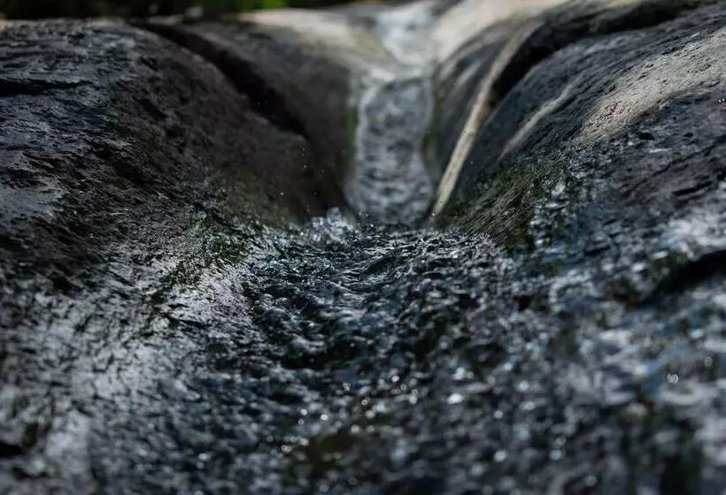 Majatalo Casa El Cedro