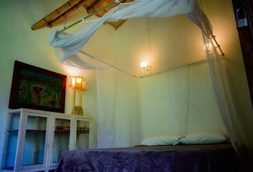 膳宿费 Casa El Cedro