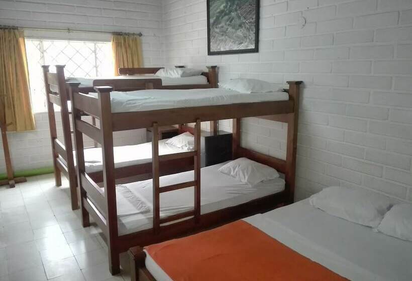 Spring City Hostel