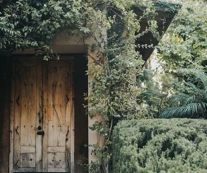 ベッドアンドブレックファースト María & Bernardo Casa   Viñedo