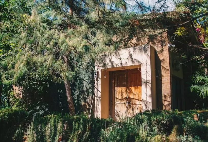 ベッドアンドブレックファースト María & Bernardo Casa   Viñedo