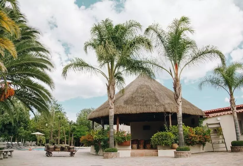 ベッドアンドブレックファースト María & Bernardo Casa   Viñedo