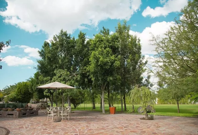 ベッドアンドブレックファースト María & Bernardo Casa   Viñedo