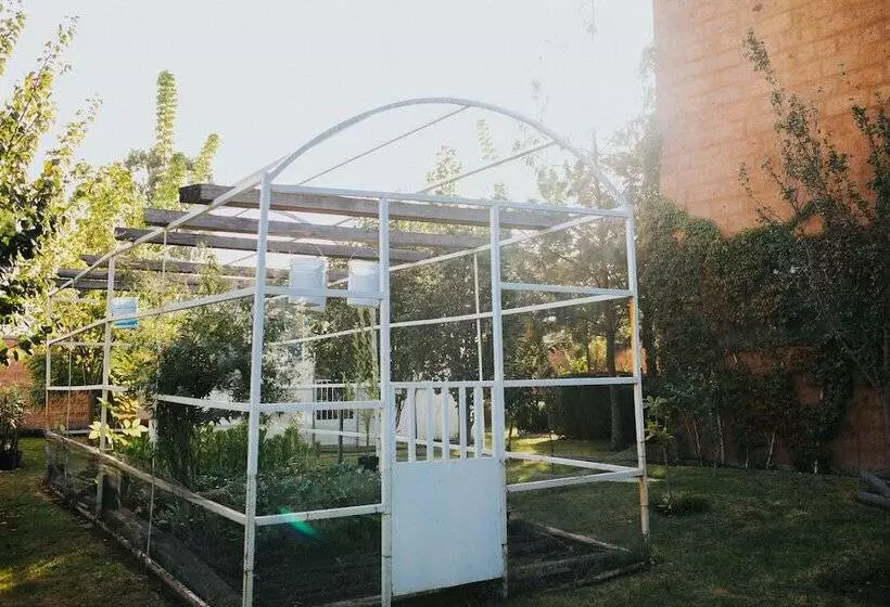 ベッドアンドブレックファースト María & Bernardo Casa   Viñedo