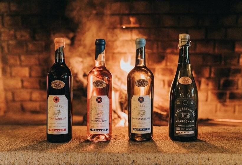 Bed and Breakfast María & Bernardo Casa Viñedo