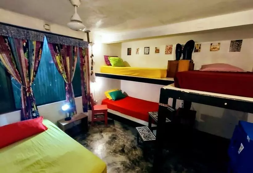 Casa Jungla Hostel