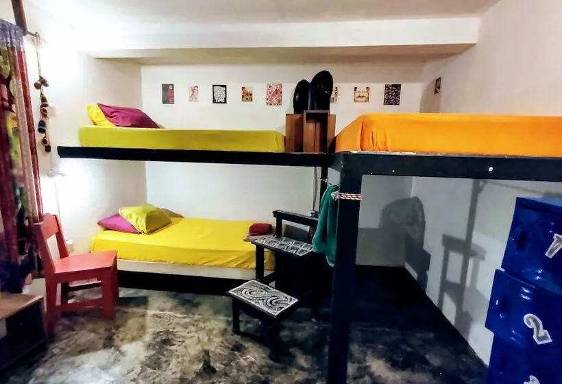 Casa Jungla Hostel